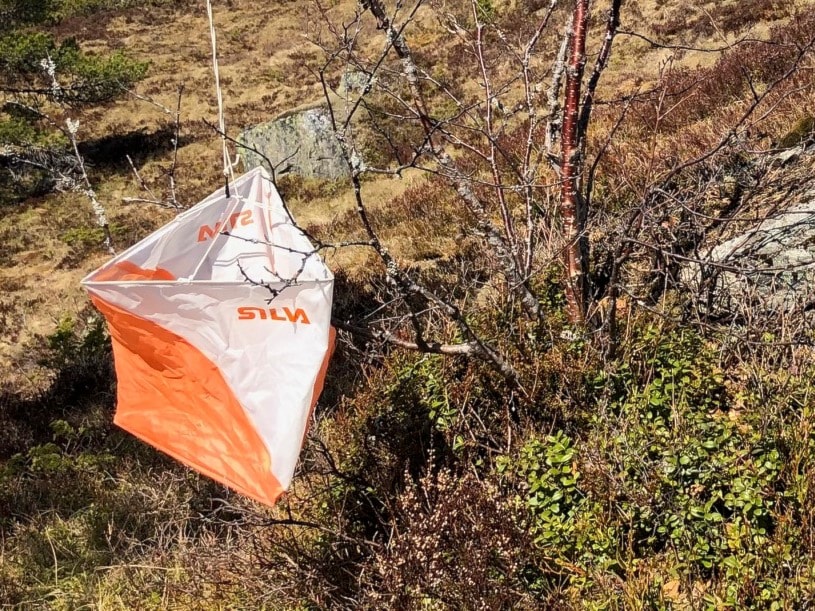 Lagsmeisterskap langdistanse - med resultat